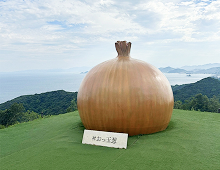 休日の過ごし方