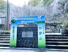 休日の過ごし方